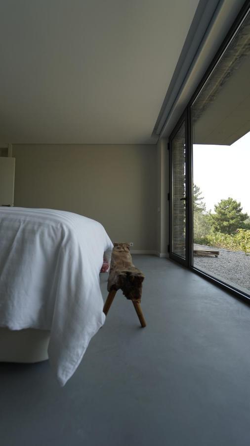 Bed and Breakfast Zab Living Vila de Rei Exteriér fotografie